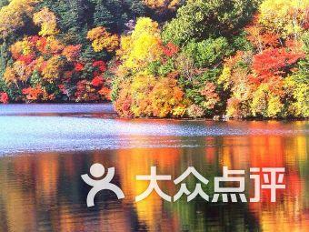 温阳祛痹方剂成分有哪些