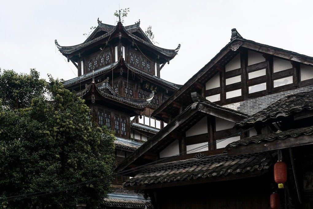 救援小肥兔